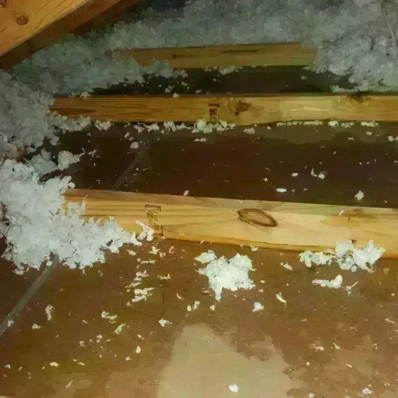 Attic Water Damage in Kenosha, WI