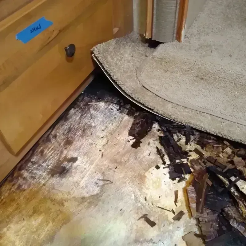 Wood Floor Water Damage in Kenosha, WI